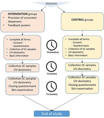 Protection Against <mark class="highlighted">Solar Ultraviolet Radiation</mark> in Outdoor Construction Workers: Study Protocol for a Non-randomized Controlled Intervention Study